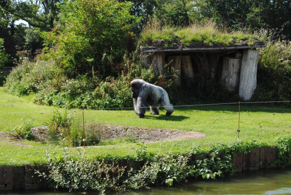 dsc_0977_12138854094_o