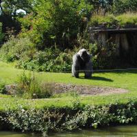 dsc_0978_12138448125_o