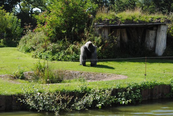 dsc_0978_12138448125_o