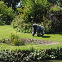 dsc_0979_12138853094_o