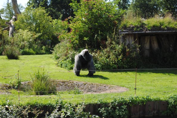 dsc_0980_12139104746_o