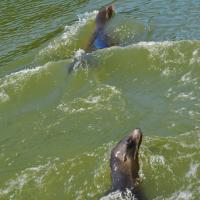 dsc_0984_12139102446_o