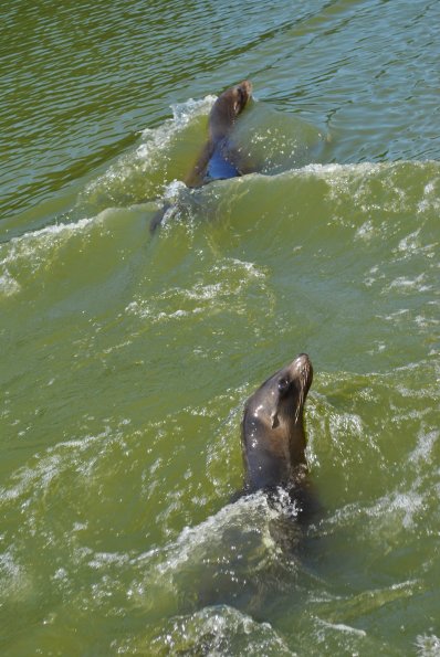 dsc_0984_12139102446_o