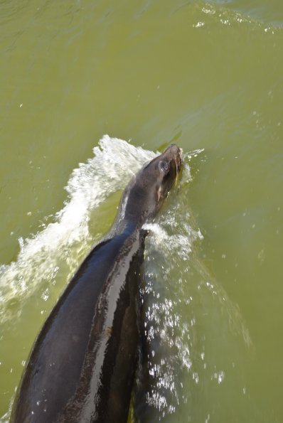 dsc_0989_12138440465_o