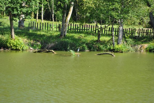 dsc_0995_12139096246_o