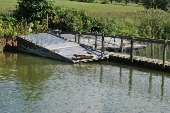 dsc_1000_12138350625_o