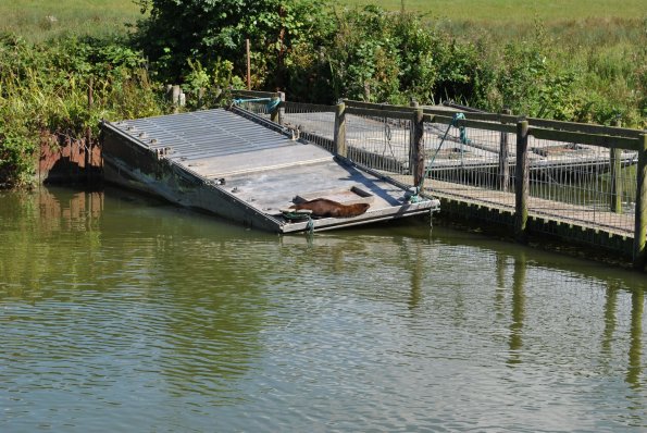 dsc_1001_12139005416_o