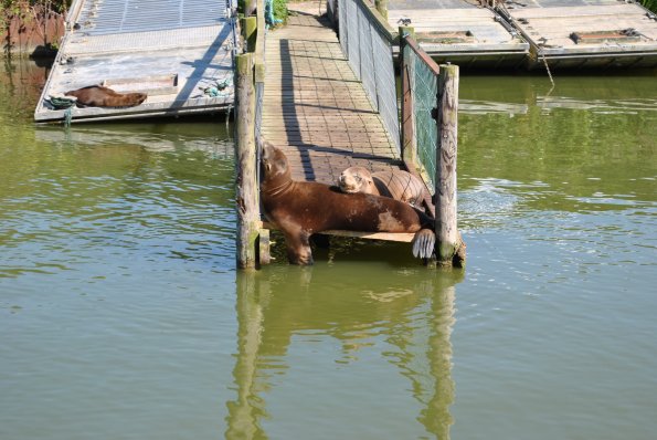 dsc_1002_12138606543_o