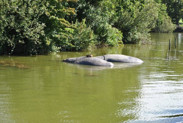 dsc_1003_12138996026_o