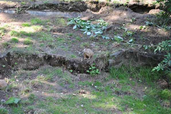 dsc_1007_12138972376_o