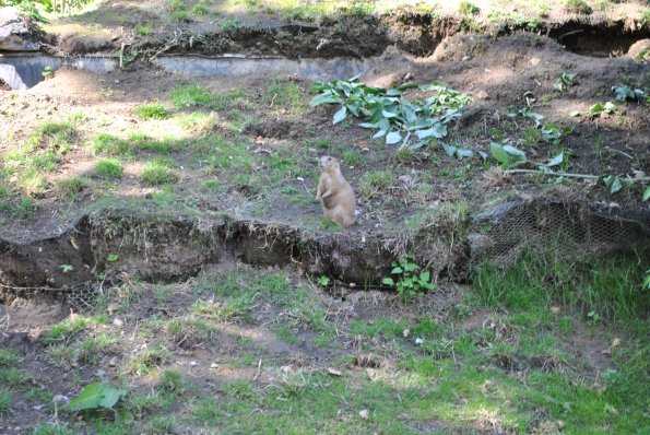 dsc_1009_12138568343_o