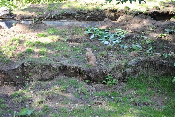 dsc_1010_12138956986_o