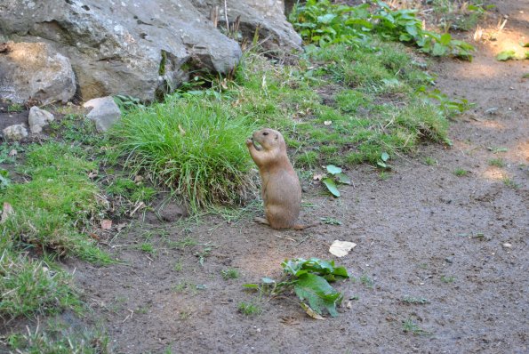 dsc_1012_12138697104_o