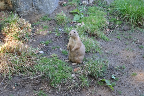 dsc_1014_12138941096_o