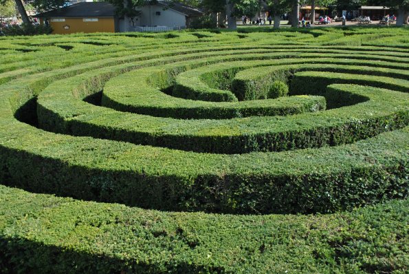 dsc_1015_12138542273_o