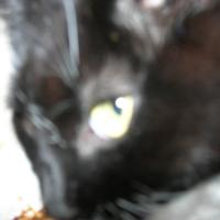 dscn0624_12416161503_o