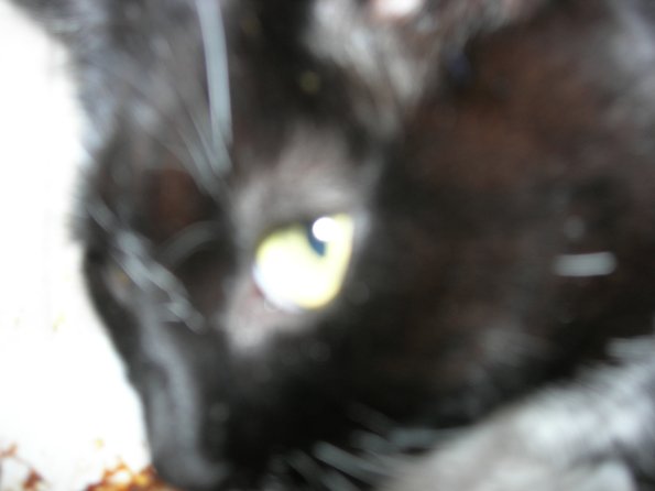 dscn0624_12416161503_o