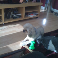 img_0002_12239384225_o