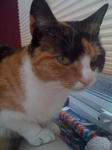 img_0028_12239778934_o