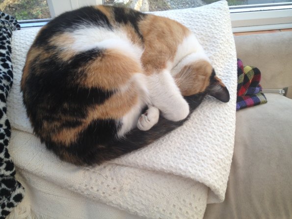 img_0224_12240506666_o