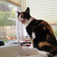 img_0388_12240213346_o