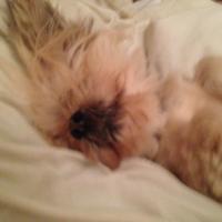 img_0566_12241114613_o