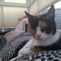 img_0755_12240916033_o