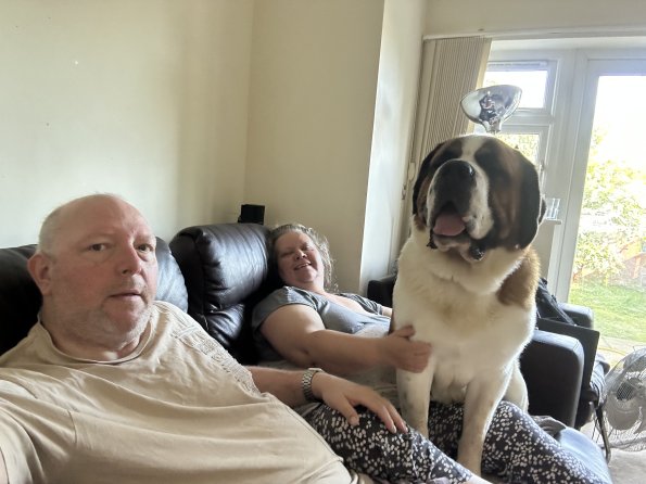 pets_53907003815_o
