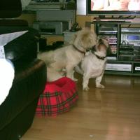 phto0009_12417398674_o