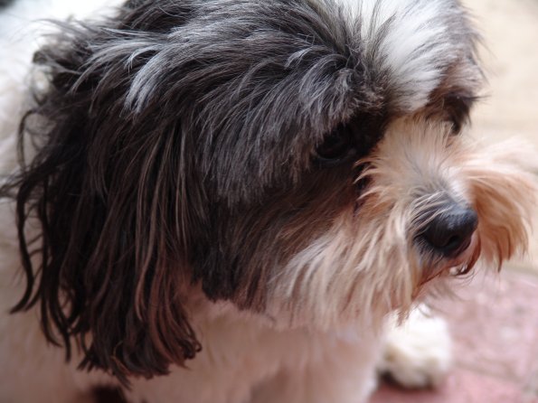 picture-015_8138957811_o