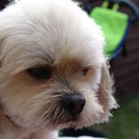 picture-020_8138980626_o