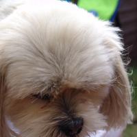 picture-021_8138978844_o