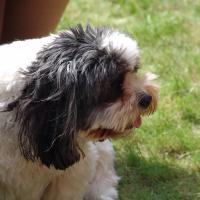 picture-036_8138957686_o