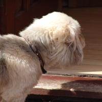 picture-045_8138943550_o