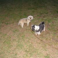 picture-135_12410962894_o