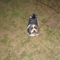 picture-136_12410477955_o