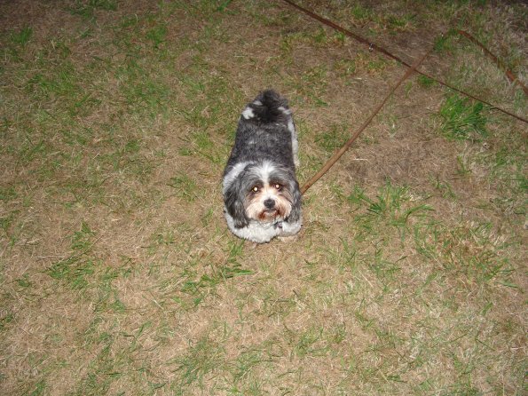 picture-136_12410477955_o