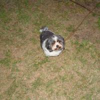 picture-137_12410475295_o