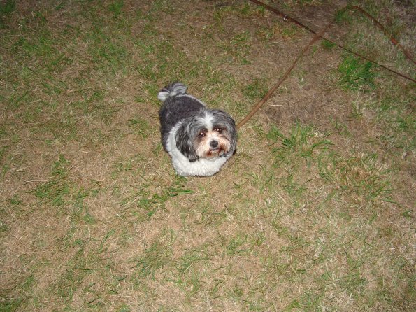 picture-137_12410475295_o