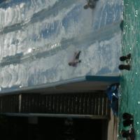 picture-081_8138482707_o