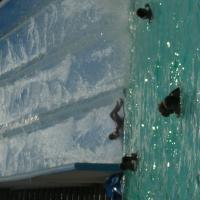 picture-083_8138481541_o