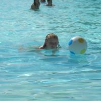 picture-140_8138471024_o