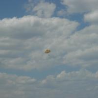 picture-172_8138419957_o