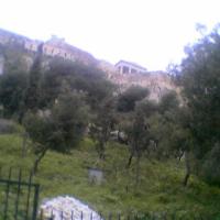 image-19--2_12255289246_o